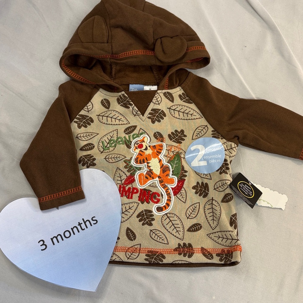 Disney - NWT - Winnie the Pooh Tigger - pullover hoodie. Size 3 months
